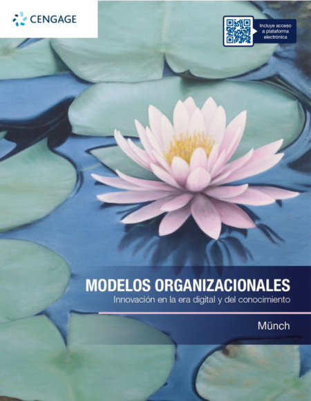 Modelos organizacionales